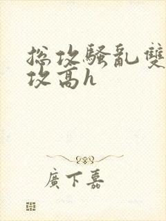 总攻骚乱双性互攻高h