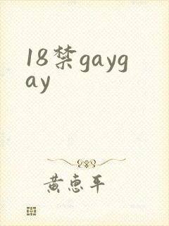 18禁gaygay