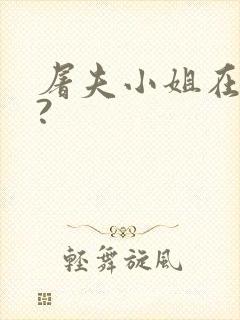 屠夫小姐在哪看?