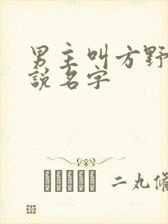 男主叫方野的小说名字封面