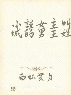 小说女主叫叶倾城的男主姓楚