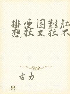 排便困难肚子胀想拉又拉不出