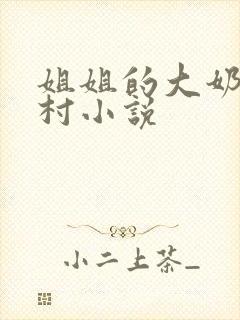 姐姐的大奶子乡村小说