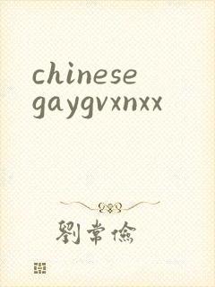 chinesegaygvxnxx封面