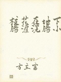 校花在地下室直肠灌浣肠小说