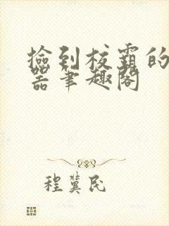 捡到校霸的遥控器笔趣阁