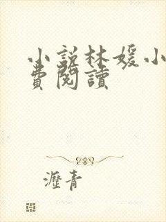 小说林媛小正免费阅读