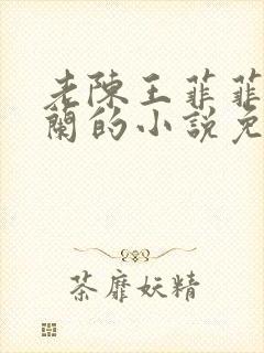 老陈王菲菲黄小兰的小说免费阅读