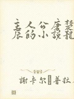 主人公唐楚楚江辰的小说龙王医婿