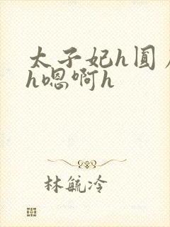 太子妃h圆房～h嗯啊h