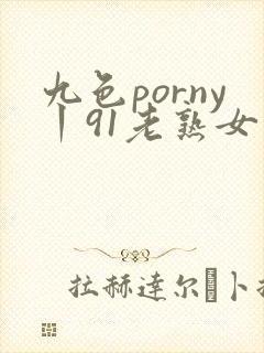 九色porny丨91老熟女封面