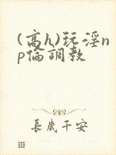 (高h)玩淫np伦调教