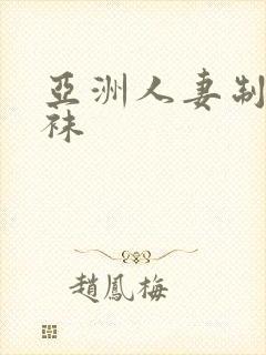 亚洲人妻制服丝袜封面