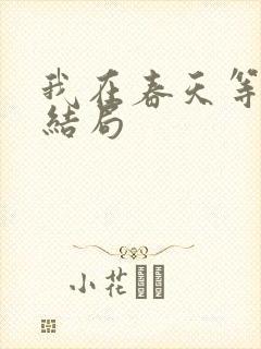 我在春天等你大结局封面
