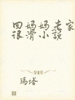 回妈妈老家的路很滑小说封面