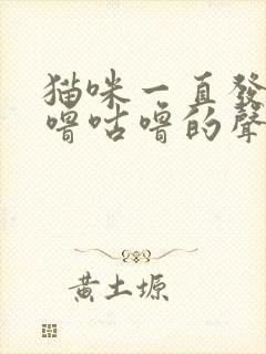 猫咪一直发出咕噜咕噜的声音不停封面