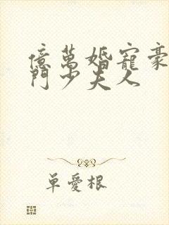 亿万婚宠豪娶豪门少夫人