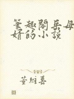 笔趣阁岳母和女婿的小说封面