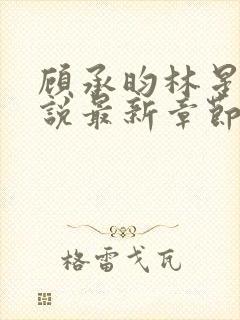 顾承昀林星禾小说最新章节免费阅读