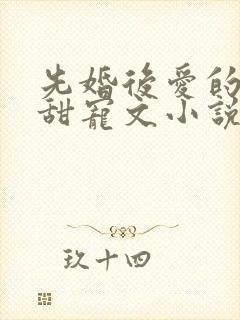 先婚后爱的古言甜宠文小说