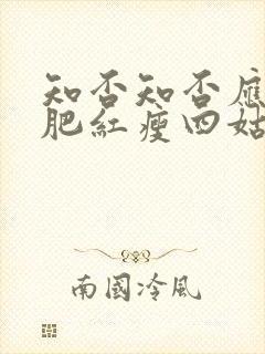 知否知否应是绿肥红瘦四姑娘结局封面