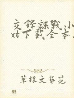 交锋谍战小说txt下载全本无弹窗