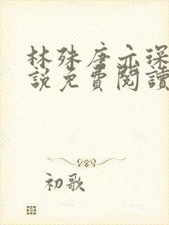 林殊唐亦琛的小说免费阅读