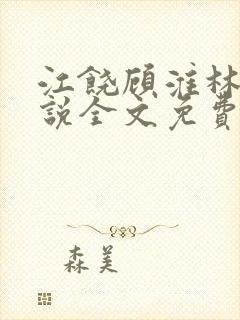 江饶顾淮林澈小说全文免费阅读