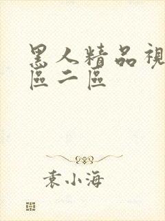 黑人精品视频一区二区