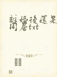 离婚后还是选择同居txt