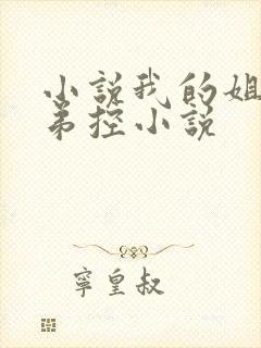 小说我的姐姐很弟控小说封面