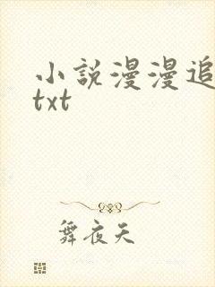 小说漫漫追妻路txt封面