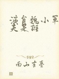 演员魏小军的丈夫是谁封面