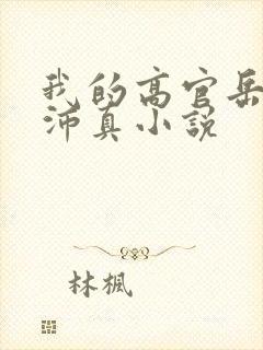 我的高官岳母苏沛真小说封面