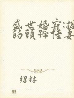 盛世婚宠:总裁的头号佳妻 小说