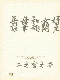 岳母和女婿的小说笔趣阁免费阅读全文无弹窗