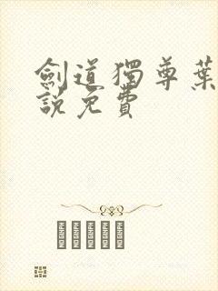 剑道独尊叶尘小说免费