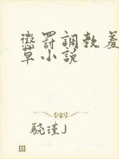 惩罚调教羞辱校草小说