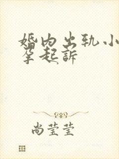 婚内出轨小三怀孕起诉