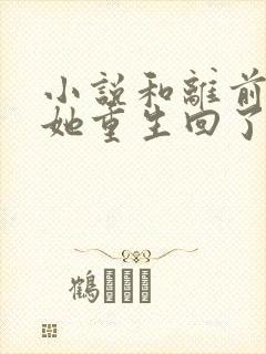 小说和离前夜,她重生回了出嫁前封面