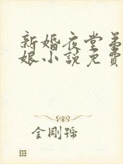 新婚夜堂弟上新娘小说免费阅读最新