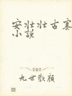 安壮壮古寨情缘小说