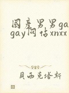 国产男男gaygay网站xnxx封面