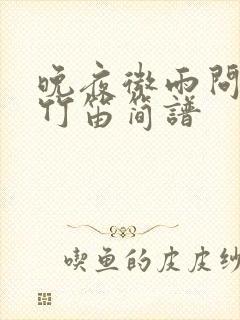 晚夜微雨问海棠竹笛简谱封面