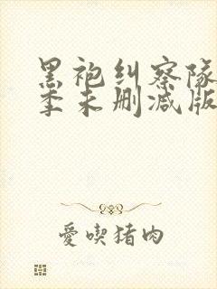 黑袍纠察队第三季未删减版1080p