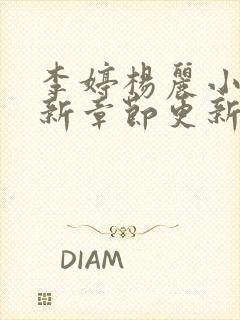 李婷杨丽小说最新章节更新时间