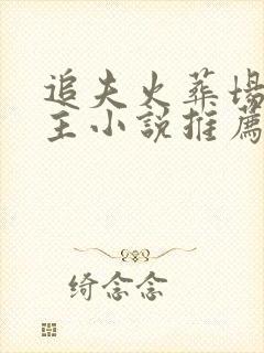 追夫火葬场双男主小说推荐封面