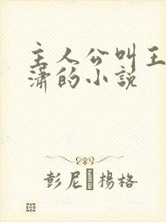 主人公叫王东唐潇的小说封面