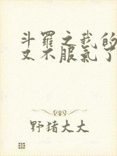 斗罗之我的系统又不服气了小说免费