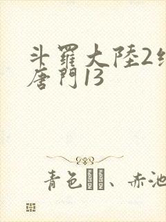 斗罗大陆2绝世唐门13